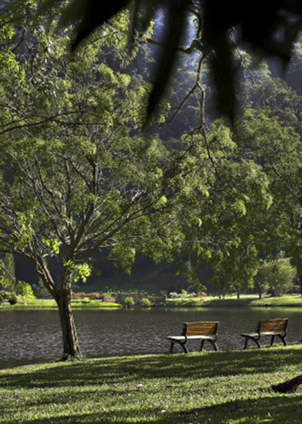 Taman-Botani-Kepong